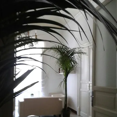 A Casa Di Giuseppe 게스트하우스 팔레르모